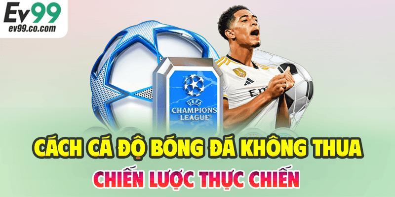 Cách Cá Độ Bóng Đá Không Thua & Chiến Lược Thực Chiến